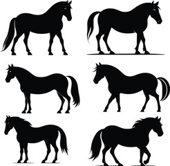 Horse Vector Art illustrator Design
