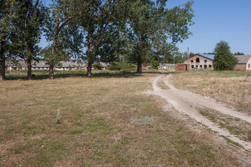 Fototapeta na wymiar The road leading to the ruins of an abandoned farm