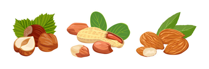 Set of heaps of nuts with green leaves. Vector cartoon illustration of hazelnuts, almonds and peanuts.