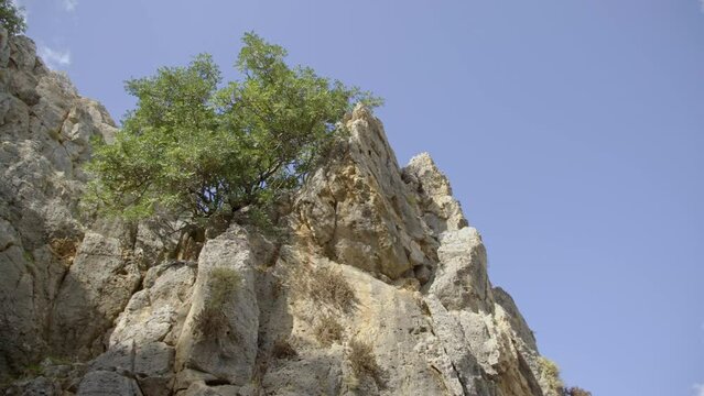Nahal Mearot outside rocks , Israel, 2023
A prehistoric experience in caves in which humans lived for hundreds of thousands of years, Israel, 2023
