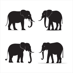 elephants silhouette vector