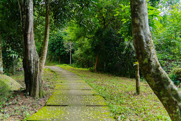 A path in the forest.
Yang Bay Ecopark in Vietnam near Nha Trang.
