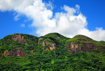 Fototapeta na wymiar Mount Trois Freres, Island Mahé, Republic of Seychelles, Africa.