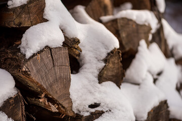 Woodpile in the winter