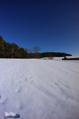 Będowska Desert, in winter, Dąbrowa Górnicza, poland