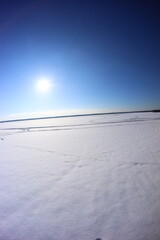 Będowska Desert, in winter, Dąbrowa Górnicza, poland