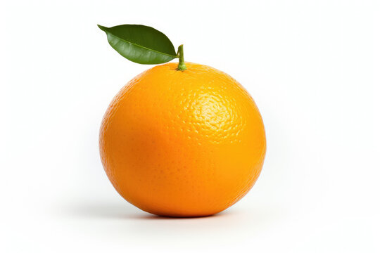 One orange, isolated white background