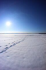 Będowska Desert, in winter, Dąbrowa G&oacute;rnicza, poland
