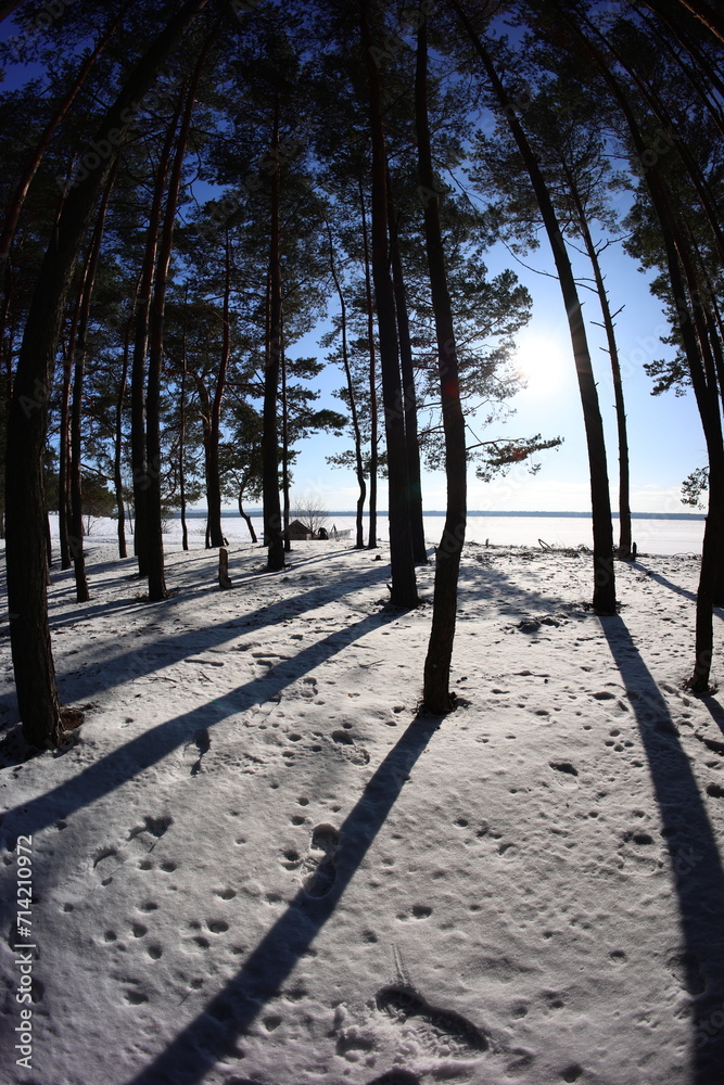 Sticker będowska desert, in winter, dąbrowa górnicza, poland