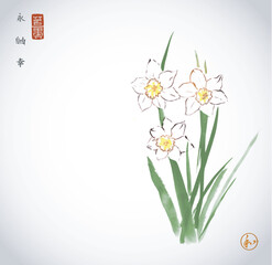  Elegant sumi-e ink wash painting of daffodils. Traditional oriental ink painting sumi-e, u-sin, go-hua. Hieroglyphs - eternity, freedom, happiness, harmony