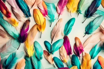 Deurstickers colorful feathers pattern © Sheraz