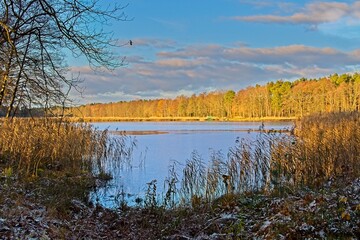 Jesienny zachód słońca nad jeziorem. Słoneczna pogoda, zachodzące z lewej strony kadru słońce oświetla drzewa rosnące na brzegu jeziora. - obrazy, fototapety, plakaty