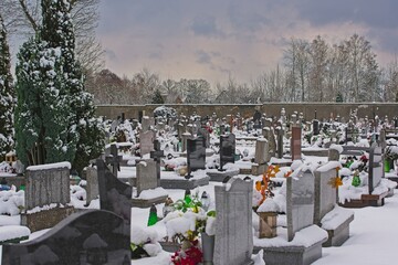 Cmentarz w śnieżną zimę. Nagrobki, alejki i rosnące na cmentarzu tuje pokrywa warstwa śniegu. - obrazy, fototapety, plakaty