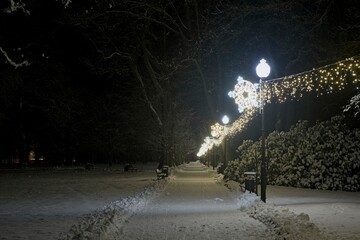 Zimowy wieczór w parku. Parkowa alejka pokryta warstwą białego śniegu. Z prawej strony znajduje...