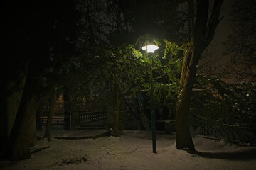 Fototapeta premium Zimowy wieczór w parku. Samotna, elektryczna latarnia, skryta wśród zieleni pobliskiej tuji rozświetla ciemności swoim jaskrawym światłem. Ziemię pokrywa warstwa śniegu. 