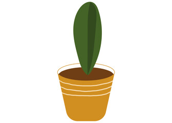 Plant Decor illustration for sticker and element
