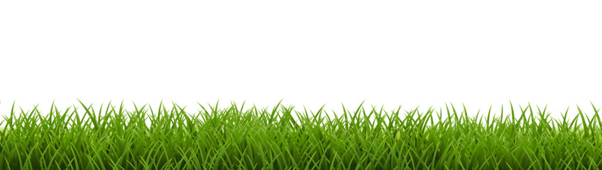 Fototapeta premium Grass Frame With Isolated White Background
