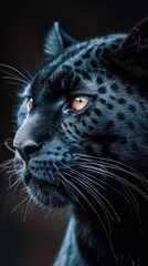 A close up of a black leopard's face, animalistic wallpaper background