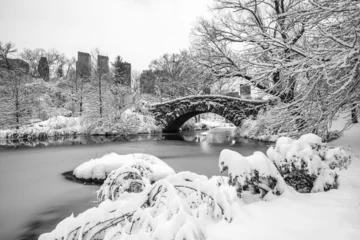Acrylic prints Gapstow Bridge Gapstow Bridge in Central Park, snow storm