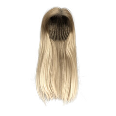 Fototapeta premium 3d render long straight blonde style hair isolated