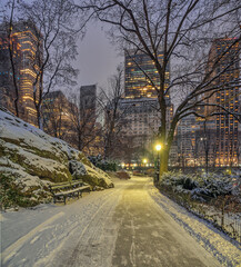 Central Park in winter , snow storm