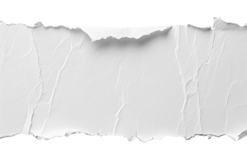 Blank, white sheet of paper, rectangular shape. On transparent background. Ripped, jagged page. With empty space for text.