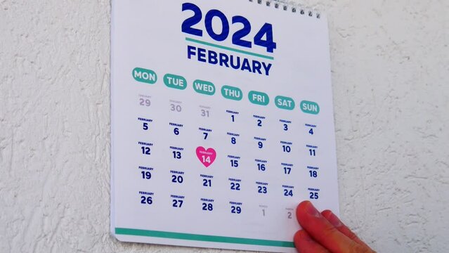 Close-up of two male hands tearing off a January page of the wall calendar 2024 followed by the next one with the marked St Valentine's Day date