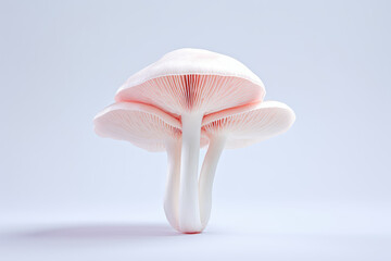 Fototapeta na wymiar Photo of mushroom on light color isolated background