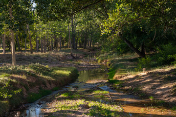 Visita al pueblo Villalba Baja en la provincia de Teruel
