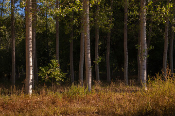 Visita al pueblo Villalba Baja en la provincia de Teruel
