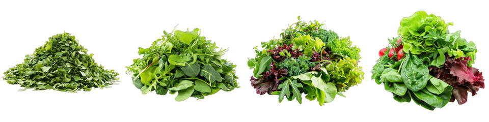 Greens Vegetables Pile Of Heap Of Piled Up Together Hyperrealistic Highly Detailed Isolated On Transparent Background Png File - obrazy, fototapety, plakaty