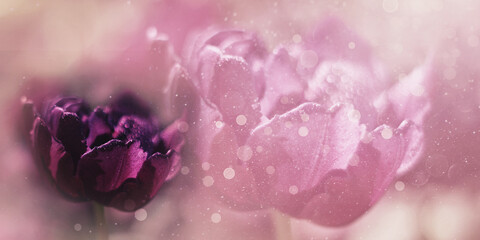 Fototapeta premium Różowe tło, wzór w kwiaty, miejsce na tekst