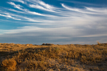 Vega Baja del Segura - Guardamar del Segura - El precioso paisaje de las dunas de Guardamar del Segura