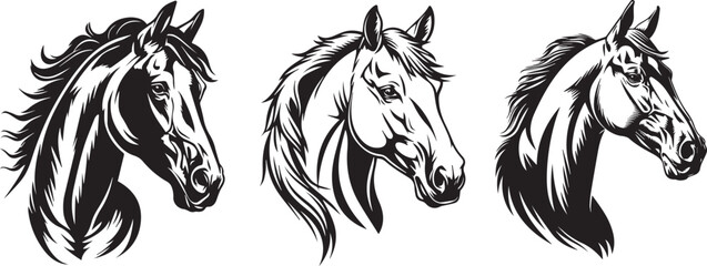 Set of horse heads, black and white vector graphics