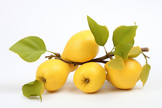 Quince, white isolated background