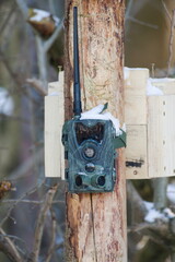 Camera trap near to high seat for hunters and gamekeepers in the forest. Czech republic nature.	