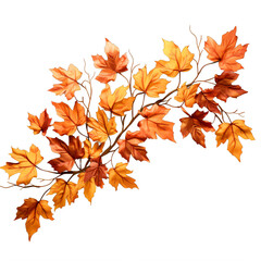Naklejka na ściany i meble A branch with orange leaves on it on a transparent background png isolated