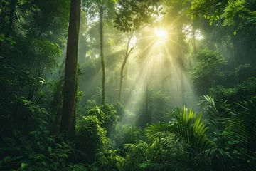 Foto op Aluminium panorama banner background of tropical forest landscape scene for using in concept of environmental ecology and sustainable energy or Earth day, wild wood scenic using for wallpaper of spa and tourism © Alizeh