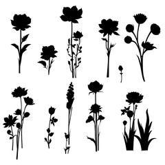 Set of silhouettes of various plant. Vector graphics. design