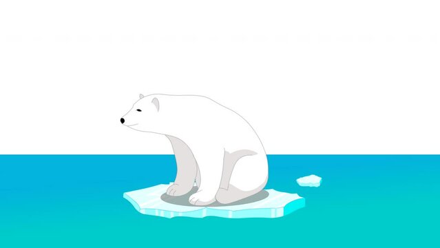 Polar bear sitting float ice loop animation. Global warming. Cartoon sea bear swings alone, on melted ice floe over the blue sea. Climate change video. 2d animal character video