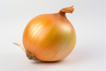 Single onion, isolated white background