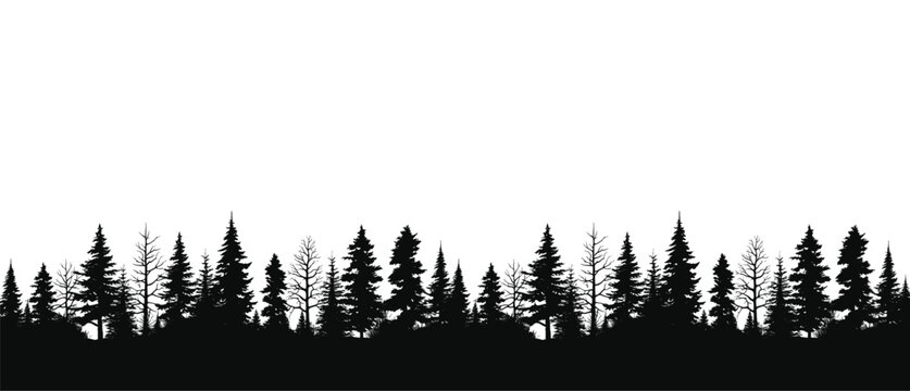 Hand drawn pine forest vector illustration isolated on white background. Landscape nature pine tree silhouette