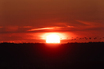 Rising Sun