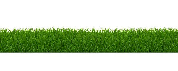 Grass Border And Isolated White Background