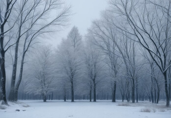 Snow and snowy wooded forest winter background