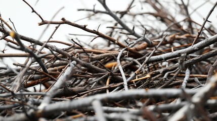 A bird sits on one of the branches in a pile of branches and twigs. This image can be used to depict nature, wildlife, or a peaceful outdoor scene