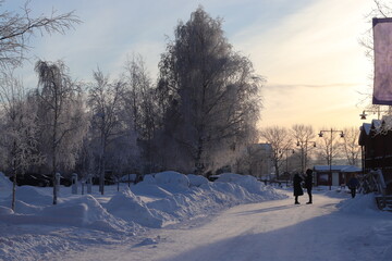 winter in the park