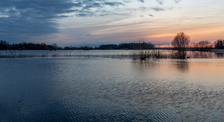 Fototapeta na wymiar Evening landscape, flood, river flood at sunset, countryside flooded by spring flood