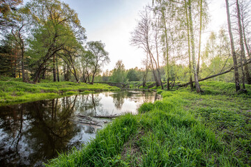 Fototapeta na wymiar Spring landscape with a river and young green leaves and grass, backlit sunlight
