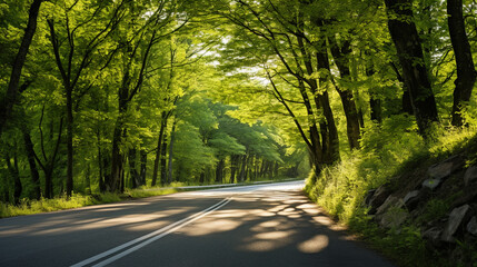 Obraz premium Beautiful mountain roadway, trees with green foliage and sunlight. AI Generative.